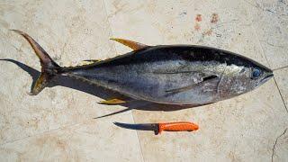 The EASIEST Way to Fillet Yellowfin Tuna Dextreme