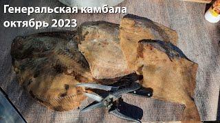 Генеральская камбала октябрь 2023 подводная охота 2023 ночная морская подводная охота 2023