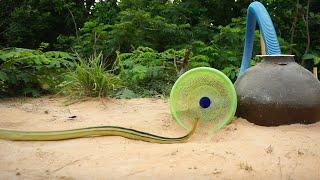 Build underground diy snake trap using cray pot with basket