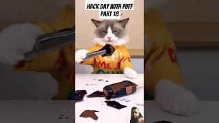 Hack day with Puff part 18 #whatshouldpuffdo #thelittlepuff #puffknowsbetter #memes #shorts #asmr