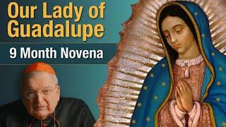 Cardinal Burke Novena To Our Lady of Guadalupe  9 Month Novena Prayer