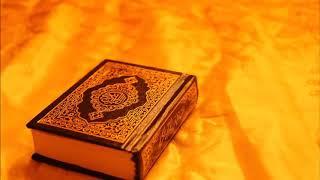 Full Quran MP3 with Soft Voice