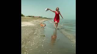 Caspian Sea Beach Walking