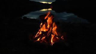 Beautiful Campfire at the Lake with Crackling Fire Crickets and Owls Sounds HD