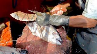 Giant Bluefin Tuna Fish Cutting Skills Live In Fish Market