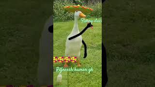 funny duck म्यूजिक #trending #tiktok #shortvideo #ytshorts #youtubeshorts #video #duck #ducks #viral