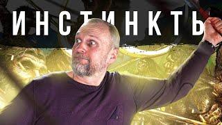 ЕСТЬ ЛИ ИНСТИНКТЫ У ЧЕЛОВЕКА?