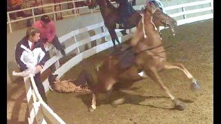 What Caused This Big Lick Tennessee Walking Horse To Throw His Rider Asheville NC???