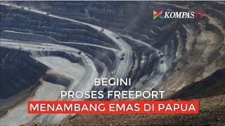 Begini Proses Freeport Menambang Emas di Papua