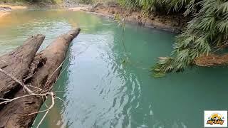 Khám phá và trải nghiệm solo camping & bushcraft bên dòng suối xanh ngọc bích rừng Đạ Huoai 012023