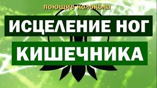 ИСЦЕЛЯЮЩАЯ МУЗЫКА ДЛЯ ЗДОРОВЬЯ НОГ ПОЯСНИЦЫ ЖКТ