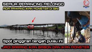 KALO AMA PAWANG NYAUmpan Buhun pun jadi rebutan ikan Monster  MANCING CIRATA TERBARU