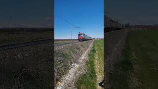 Fuorimuro 191 002 con container Metrocargo sulla Fossano-Cuneo 24324