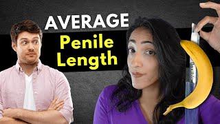 How big is the average penis? its not as long as you think