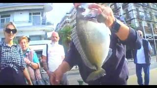 Gilt-head bream rod fishing on the old seafront of Thessaloniki