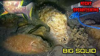 Night Spearfishing Panah Ikan Malam Hari Series 110 Beda Spot Beda Rasa