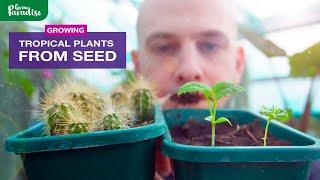 Grow your dream TROPICAL garden from SEED  Grow Paradise Seed Club