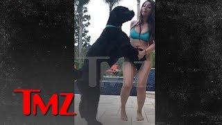 Instagram Model Fires Back in Dog Sexual Assault Suit Blames Owner  TMZ