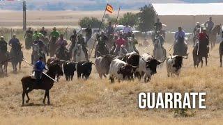 Guarrate 2024 Tradicionales Espantes con Toros Bravos