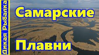 Что нужно знать о рыбалке в САМАРСКИХ ПЛАВНЯХ? Все секреты и хитрости ловли в плавнях Днепра