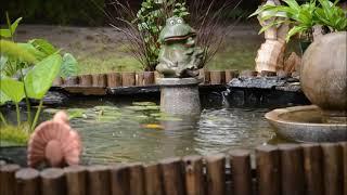 10 hours of rain sounds and birds chirping on the garden pond - Nature sounds for relaxation