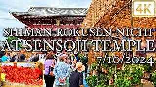 四万六千日 浅草寺ほおずき市 2024 Shiman-Rokusen-Nichi at Sensoji Temple 4K