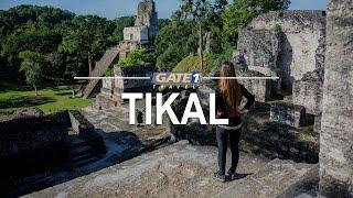 Visit the ancient city of Tikal in Guatemala