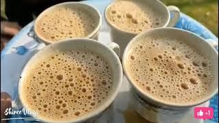 Tea lover status  Tea new latest whatsApp status  Chai new latest whatsApp status