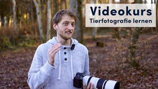 Videokurs - Tierfotografie lernen