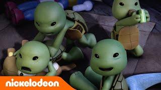 TMNT Teenage Mutant Ninja Turtles  Teenage Mutant Ninja Turtles als Babys  Nickelodeon Germany