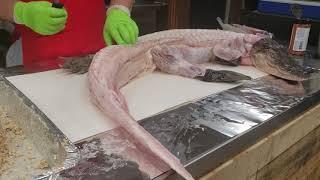 How To Prep and Cook an Alligator