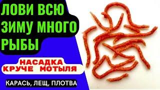 Насадка для рыбалки на КАРАСЯ ЛЕЩА ПЛОТВУ. ЗАМЕНИТ МОТЫЛЯ  обеспечит клёв на всю зиму.