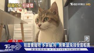 租屋養寵物「多禁貓.狗」 房東鼠兔接受度較高｜TVBS新聞 @TVBSNEWS01