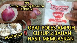  MURAH DAN HASIL NYA MEMUASKAN‼️Cara membuat obat poles dengan mudah tanpa efek samping