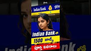 Indian Bank recruitment 2024  Indian Bank apprentice recruitment 2024 for 1500 posts