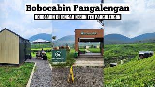 BOBOCABIN PANGALENGAN  Bobocabin Di Tengah Kebun Teh Pangalengan