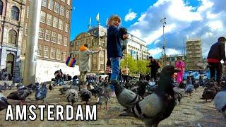 Amsterdam Live Stream 247 Netherlands Live Cam Walking Tour