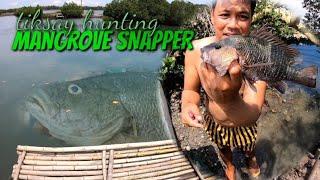 NASA GILID LANG NG DAAN ANG MGA MANGROVE SNAPPER MANGAGAT