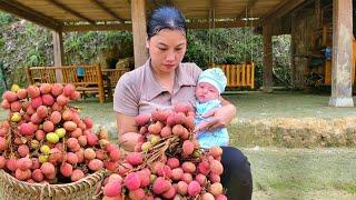 75 days with your baby harvesting green vegetables lychees and palm tubers - building a farm