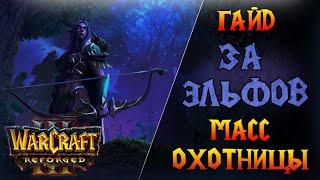 Самая простая стратегия - масс охотницы \\  Warcraft 3 Reforged - Гайд за Ночных Эльфов