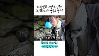 부자되는법? 울릉도 재벌코스 간 이지혜