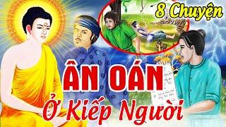 8 Chuyện Ân Oán Ở Kiếp Người ...  Làm Ác Gặp Ác Gieo Gió Gặt Bão - Luật Nhân Quả Chớ Xem Thường