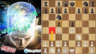 Evans Gambit on The Highest Level  AlphaZero vs Stockfish