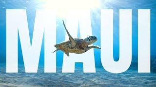 The ULTIMATE TRAVEL GUIDE to MAUI Hawaii