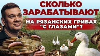 Как зарабатывают фермеры в Рязанской области  Грибы и Ферма уток  Бизнес в селе  Андрей Даниленко