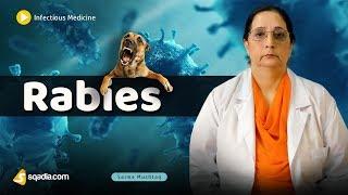 Rabies  Infectious Diseases Medicine Lectures  Medical Student Course  V-Learning