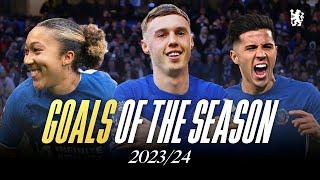 Top goals of 202324 Season  PALMER ENZO JAMES JACKSON - Every goal of the month  Chelsea FC