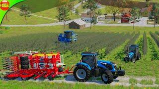 New Landini Tractor Purchased and Planted Grass  Farming Simulator 23 Neubrunn #4