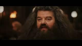 Robbie Coltrane  Rubeus Hagrid   Tributo