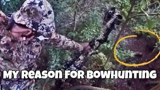 Bowhunt for groceries not trophies.  Heres why I hunt